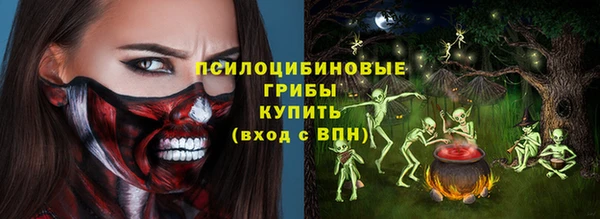 ПСИЛОЦИБИНОВЫЕ ГРИБЫ Армянск