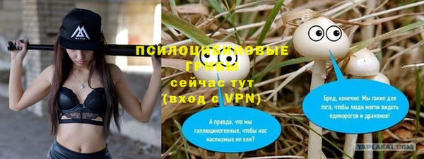 гидропоника Балабаново